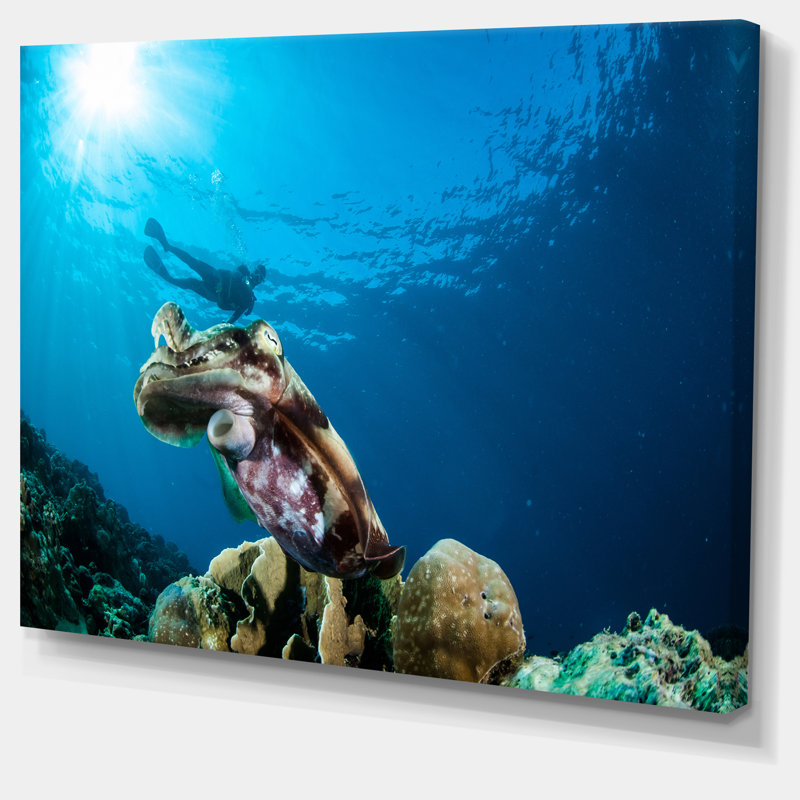 « broadclub cuttlefish subaquatique », reproduction de photo sur toile tendue, H 20 po x l 20 po x P 1 po
