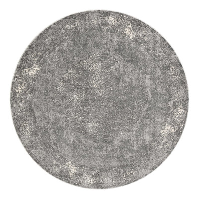 Janousek Oriental Gray Area Rug