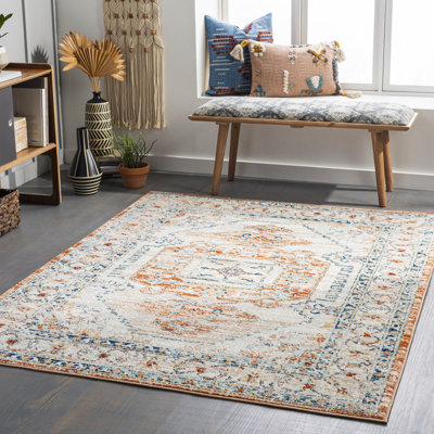 Aldusa Oriental Indoor Rug