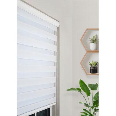 PINECREST HOME GOODS Custom-Cut Size Zebra Blinds for Indoor Windows Light Filtering & Room Darkening Roller Shades ( White Color ) (Maxium Height 78 inch ) ( Width 34 inch )