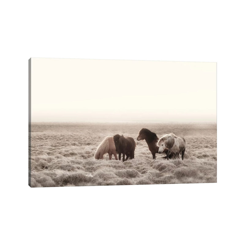 Iceland Wild Horses I by Monika Strigel - Wrapped Canvas Print, 30.48 cm H x 45.72 cm W