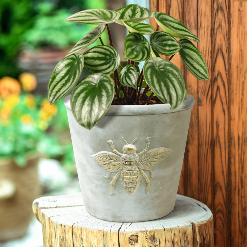 Cache-pot Husnida Bee