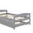 Twin Size Platform Bed With Trundle-227811759