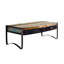 Sled Coffee Table