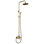 Single Handle 2-Spray Wall Bar Shower Kit 8 In. Round Rain Shower Head With Handheld Spray