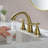 2-handle Bathroom Faucet-73819815