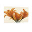 Plantes et fleurs, lys orange sur fond crème, reproduction d'art-748363859