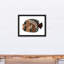 Poisson neutre sur toile-1992816956-1993886039