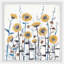 African Daisies - Single Picture Frame Painting-196796685