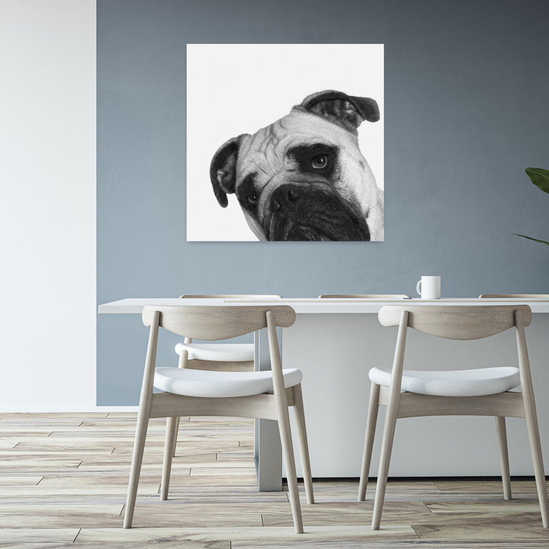 Art contemporain pour chien Que Pasa, H 32 po x l 32 po