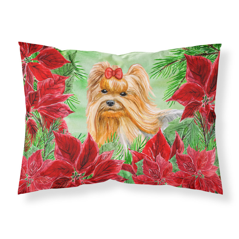 Microfiber, Yorkshire Terrier