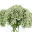 Faux Floral in Vase-336806020
