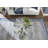 Asterisk Cast Root Coffee Table