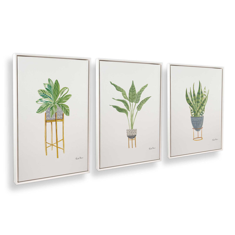Présentoir à plantes, lot de 3 impressions, 24 po x 18 po, Toile avec cadre, Blanc opaque