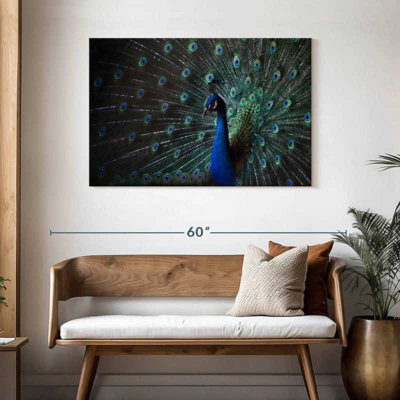 Brampt Glorious Blue Peacock, 30" H x 45" W