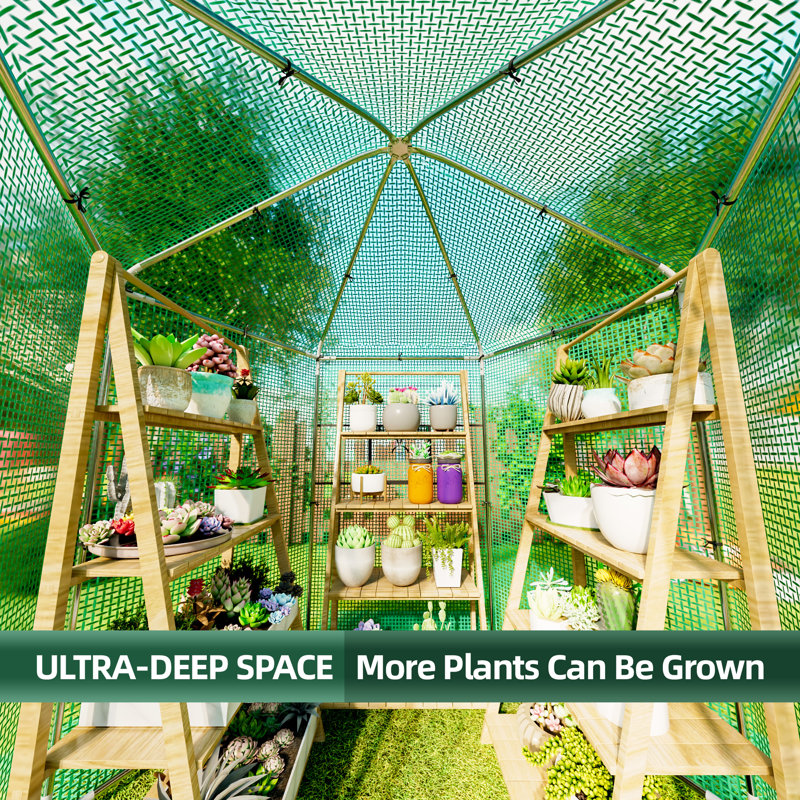 Heavy-duty Hexagonal Green House, 7" H x 7.6" W x 7.6" D