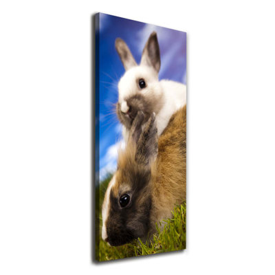 Two Rabbits - Wrapped Canvas Print