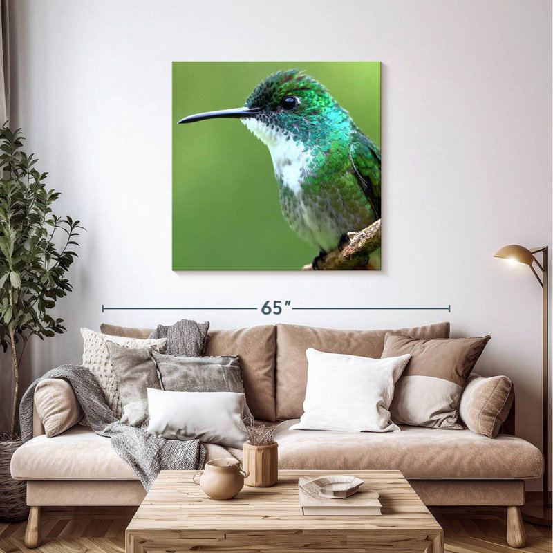 Crowle Starthroat Hummingbird, 39" H x 39" W