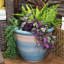 Jardinière intérieure / extérieure Chanze - 12 po x 12 po x 10 po - pot de fleurs rond en céramique à 2 compartiments - bleu / beige-1299076645-1299076648-1299076649