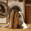 Tapis Dune Waves-722112444