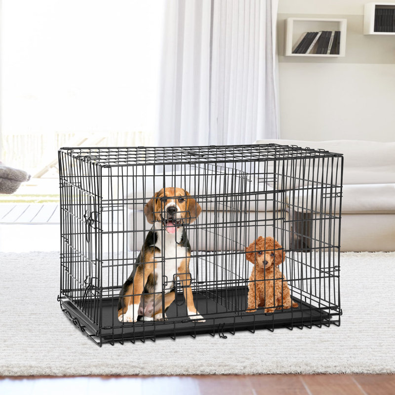 Ilaina Miri 48-Inch Leak-Proof Pet Crate