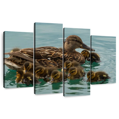 Famille de canards Brampt