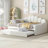 Full Size Upholstery Daybed Frame With Shall Shaped Backrest  And Trundle,White-1050619142