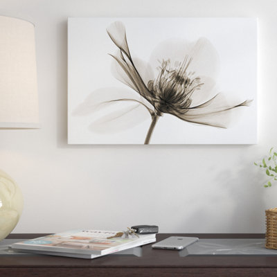 « hellebore ii » par robert poulailler, impression sur toile tendue