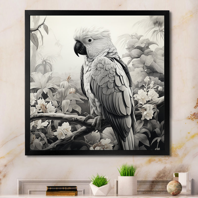 Gris gris, perroquet tropical Grace I - art mural perroquet, Cadre photo noir, H 36 po x l 36 po x P 1,5 po