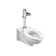 Selectronic 1.1 Gallons Electronic Flush Valve