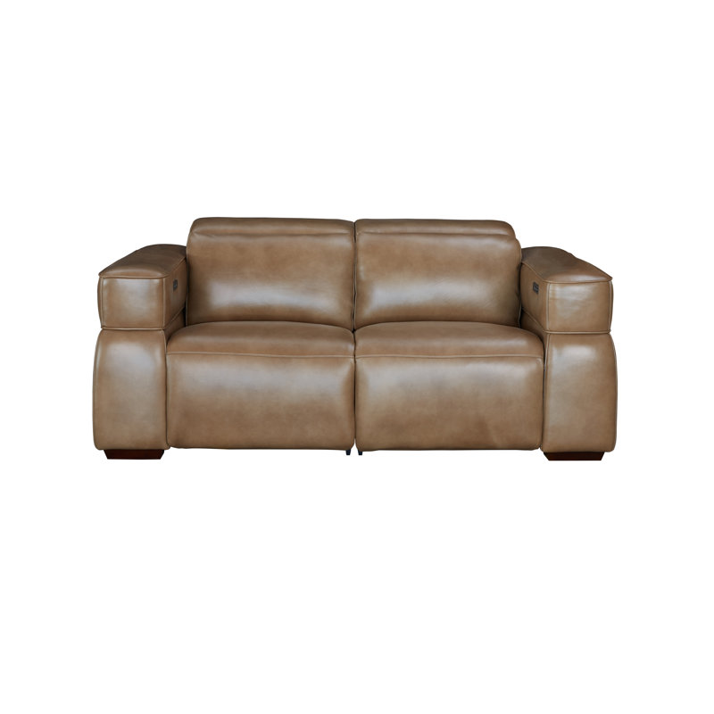 Matteo Reclining Loveseat, LE0604 Genuine Leather