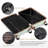 Luggage Set Of 3