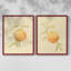 «Dappled Oranges III», reproduction encadrée de qualité supérieure - prête à être accrochée - aucun clou requis - aucun clou requis-204122228-204122232