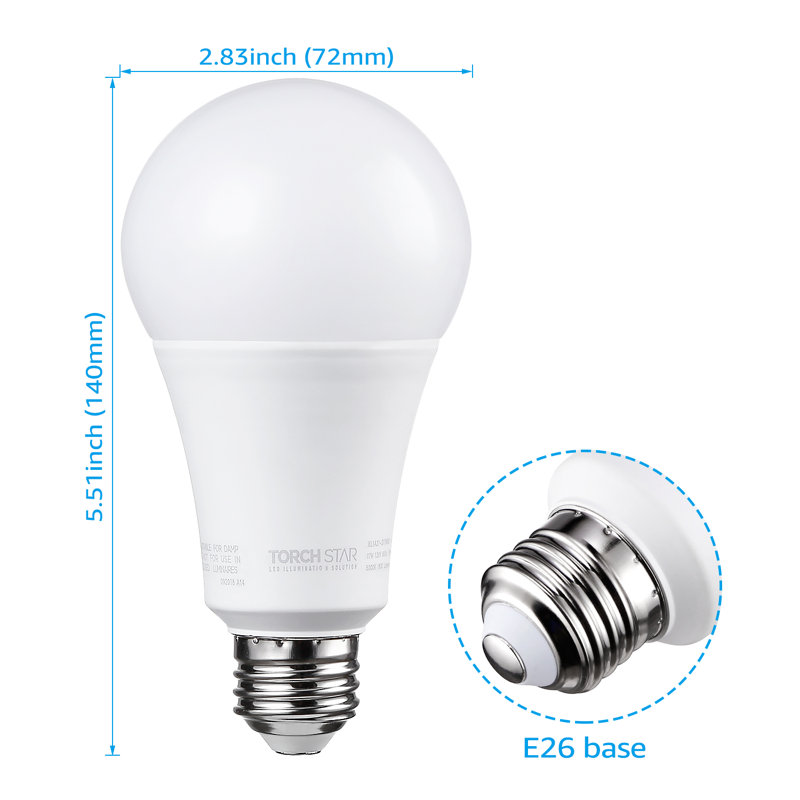 Ampoules DEL A21, IRC 80+, à intensité variable, 22 W (équivalent à 150 W), 2550 lumens, lumière du jour 5000K