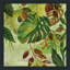 «Tropical Greenery II (Square)» par Silvia Vassileva, reproduction-150069303-150069296