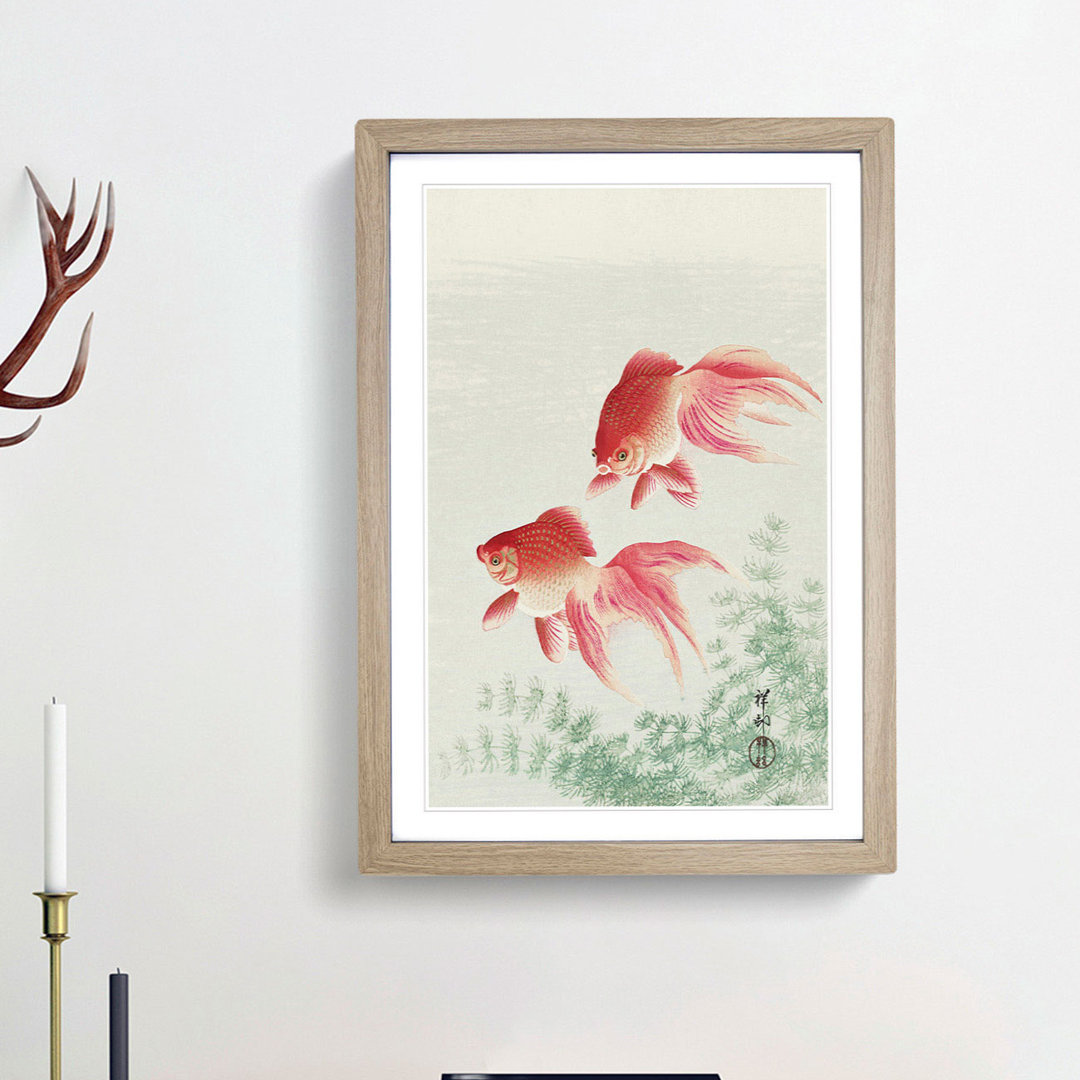 Two Veil Goldfish by Ohara Koson - Picture Frame Painting Print