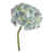 Blue Tinged is out of stock