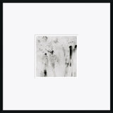 Abstract Locomotion Giclee Print by Soicher Marin Archives