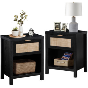 Alayha 19.7'' W Nightstand (Set of 2)