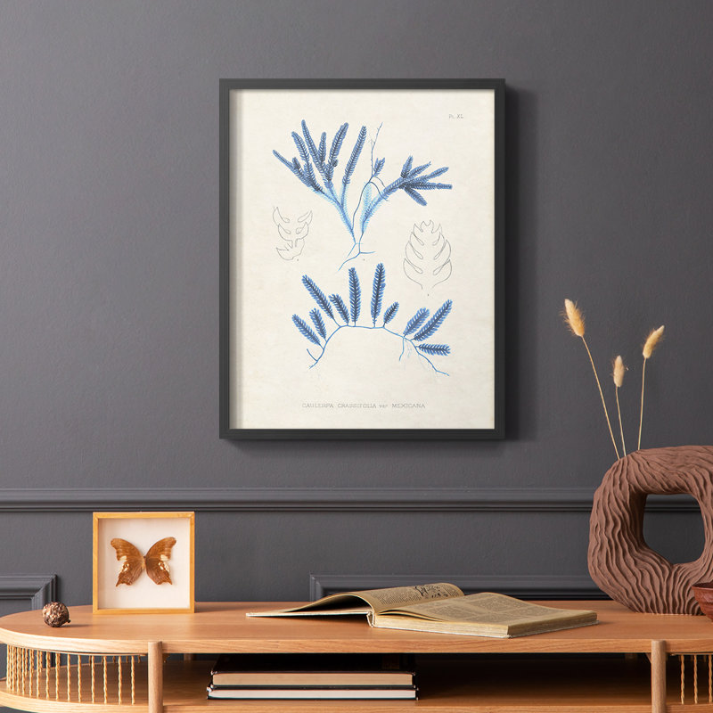 Marine Algae I, reproduction encadrée - bois massif, Noir, H 20 po x l 16 po