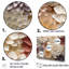 Minimalisme beige Zinnias Collage II - ensemble de décorations murales Zinnias-107742041-107742043