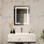 Led Lighting Medicine Cabinet With 3 Adjustable Shelves Recessed Or Surface Mounted Left Hand