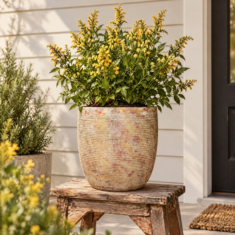Marcial Ceramic Indoor Pot Planter, Gold