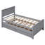 Lit plateforme avec lit gigogne et tiroirs-1159731048