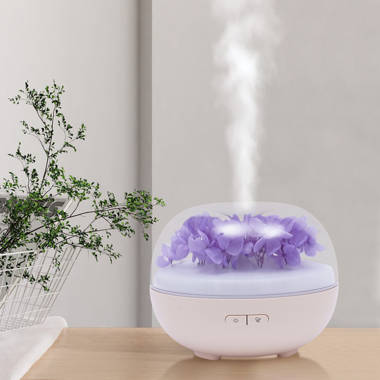 https://assets.wfcdn.com/im/46632108/resize-h380-w380%5Ecompr-r70/2335/233594478/USB+Powered+Essential+Oil+Diffusers.jpg