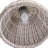 Augustine Outdoor Pendant-58130718