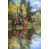 Black Floater Framed selected
