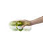 Extra Large Garlic Mincer-Green