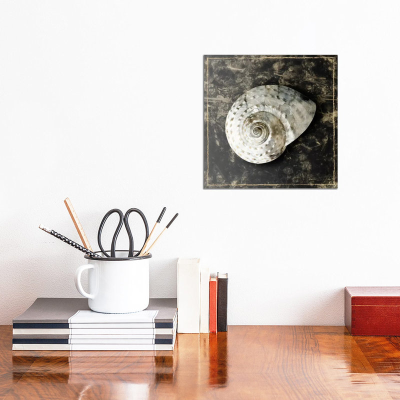 Marble Shell Series II by Edward Selkirk - Wrapped Canvas Gallery-Wrapped Canvas Giclée, 30.48 cm H x 30.48 cm W