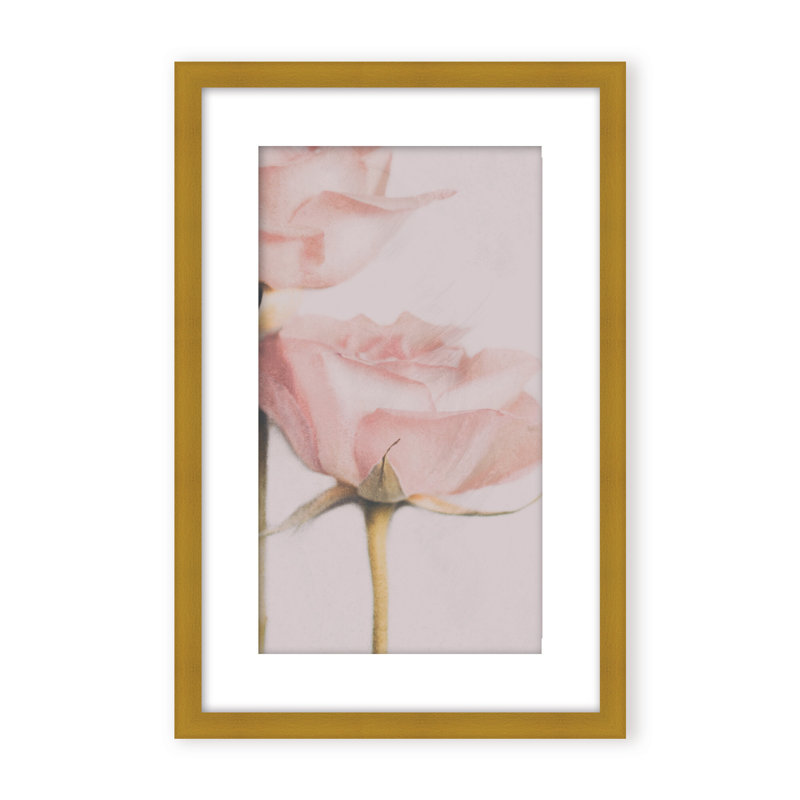 Nature Inspired Two Roses by  - Picture Frame Photograph on Paper, 36" H x 24" W x 1.125" D, Black, Framed Matted Print